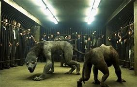 Image result for Inhumane Werewolf