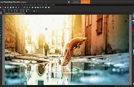 Image result for Corel Paintshop Pro 2021 Ultimate - Instant Download For Windows