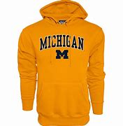 Image result for Michigan Wolverines Steal Your Face Hoodie
