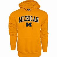 Image result for Michigan State Track Hoodies