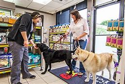 Image result for Pet Store Animals