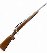 Image result for 308 Bolt Action Rifle