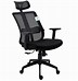 Image result for Mesh Back Executive Chair
