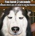 Image result for Random Funny Meme Oictures