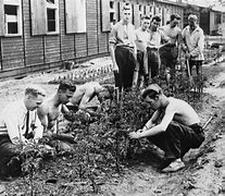 Image result for POW Camp Stalag 13