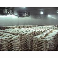 Image result for Fish Cold Storage
