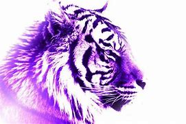 Image result for Purple Tiger Wallpaper for Computer