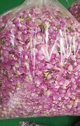 Image result for Freeze-Drying Flowers