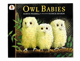 Image result for owl babies book