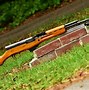 Image result for American SKS Rifle