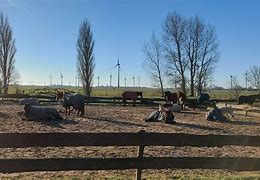 Image result for Sunny Ranch