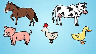 Image result for How to Draw Farm Animals for Kids