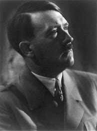 Image result for Adolf Hitler Uniform Color