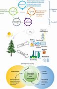 Image result for Energy and Economy Production Drawing