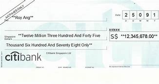 Image result for Citibank Check Designs