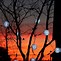 Image result for Outdoor Christmas Lights