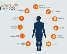 Image result for Physical Stressors