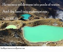 Image result for Pool of Siloam Jesus