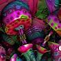 Image result for Visuals On Shrooms