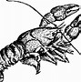 Image result for Lobster Cartoon Drawings