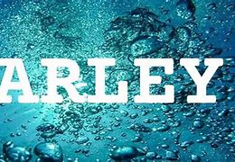 Image result for Best of Chris Farley