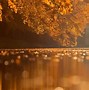 Image result for Fall Foliage Desktop Themes Windows