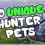 Image result for WoW Rare Pets