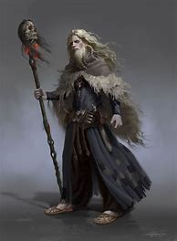 Image result for Necromancer Dnd Human Wizard