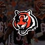 Image result for Bengals Mascot Fell Over