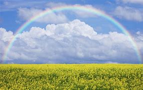 Image result for Blue Clear Sky with Rainbow