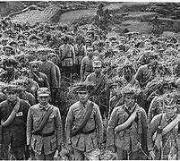 Image result for Chinese WW2
