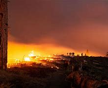 Image result for Forest Fire