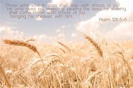 Image result for Bible Verse of the Day Wallpaper