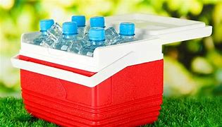 Image result for Best Small Cooler