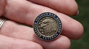 Image result for Congressional Vietnam Veteran Lapel Pin