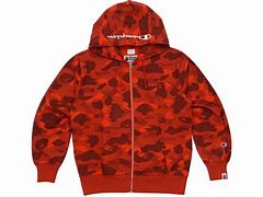 Image result for Fuzzy Champion Hoodie