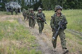 Image result for Latvia Military Forces