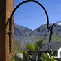 Image result for Wall Mounted Wrought Iron Plant Hangers