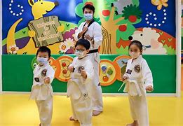 Image result for Taekwondo Contact Sparring