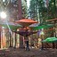 Image result for Tree Tent Camping