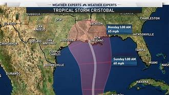 Image result for Tropical Storm Crristobal Paths Forecast