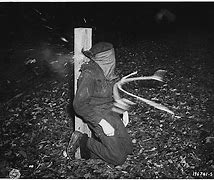 Image result for WW2 Execution Painting