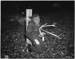 Image result for Piano Wire Executions during World War 2