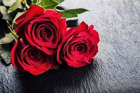 Image result for Red Valentine Roses