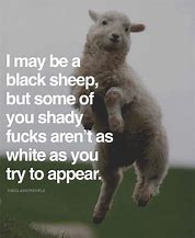 Image result for Black Sheep Quotes