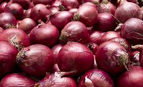 Image result for IV.83 Onion