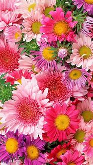 Image result for Flower Screensavers for Kindle Fire
