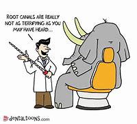 Image result for Root Canals Dental Funnies