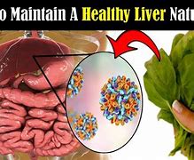 Image result for How to Maintain Healthy Liver