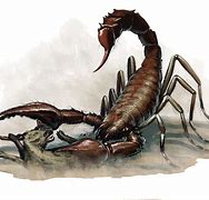 Image result for Giant Scorpion 5E